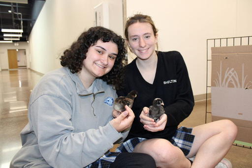 unnamed - 2025-04-16T140159.694.jpg