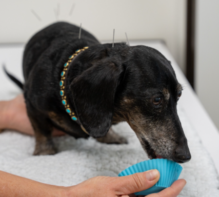 Screenshot 2025-08-22 081817.png